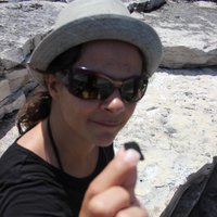 Melissa Stacey (@skeenme) 's Twitter Profile