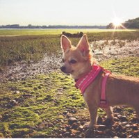 Tarn03 (@tarn03) 's Twitter Profile