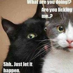 Kelly_McD's profile picture. 