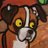 drachac's profile image