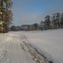 donna ries - @donna_ries - Twitter