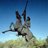 ken_ragsdale's avatar