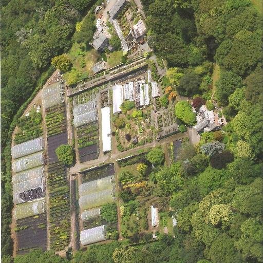 AdrianEndsleigh's profile picture. NOW CLOSED, Traditional nursery growing a wide range of shrubs & trees. Set in Duke of Bedford,old walled garden.Endsleigh Gardens Nursery,Milton Abbot.