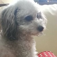 としちゃん (@3toshiyuki) 's Twitter Profile