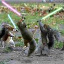 Chris Hartz - @chartzarch - Twitter