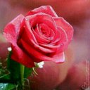 N (@000011110w) Twitter