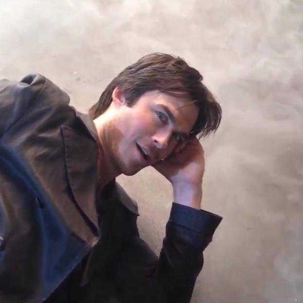 Mrssalvatore19's profile picture. love #TVD series , Ian somerhalder & Nina dobrev & paul wesley ,, I'm team Delena & Defan 4 ever