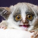 clem brown - @clembrown5 - Twitter