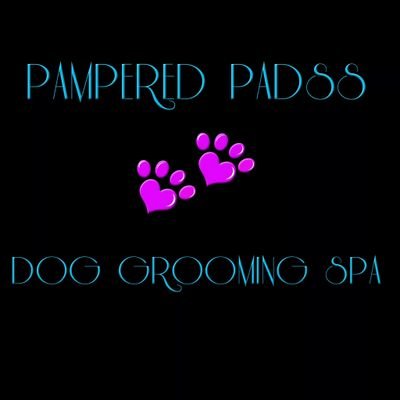 Dog grooming and spa treatments, Creative colour grooming plus lots of treats and designer items for your pooches.