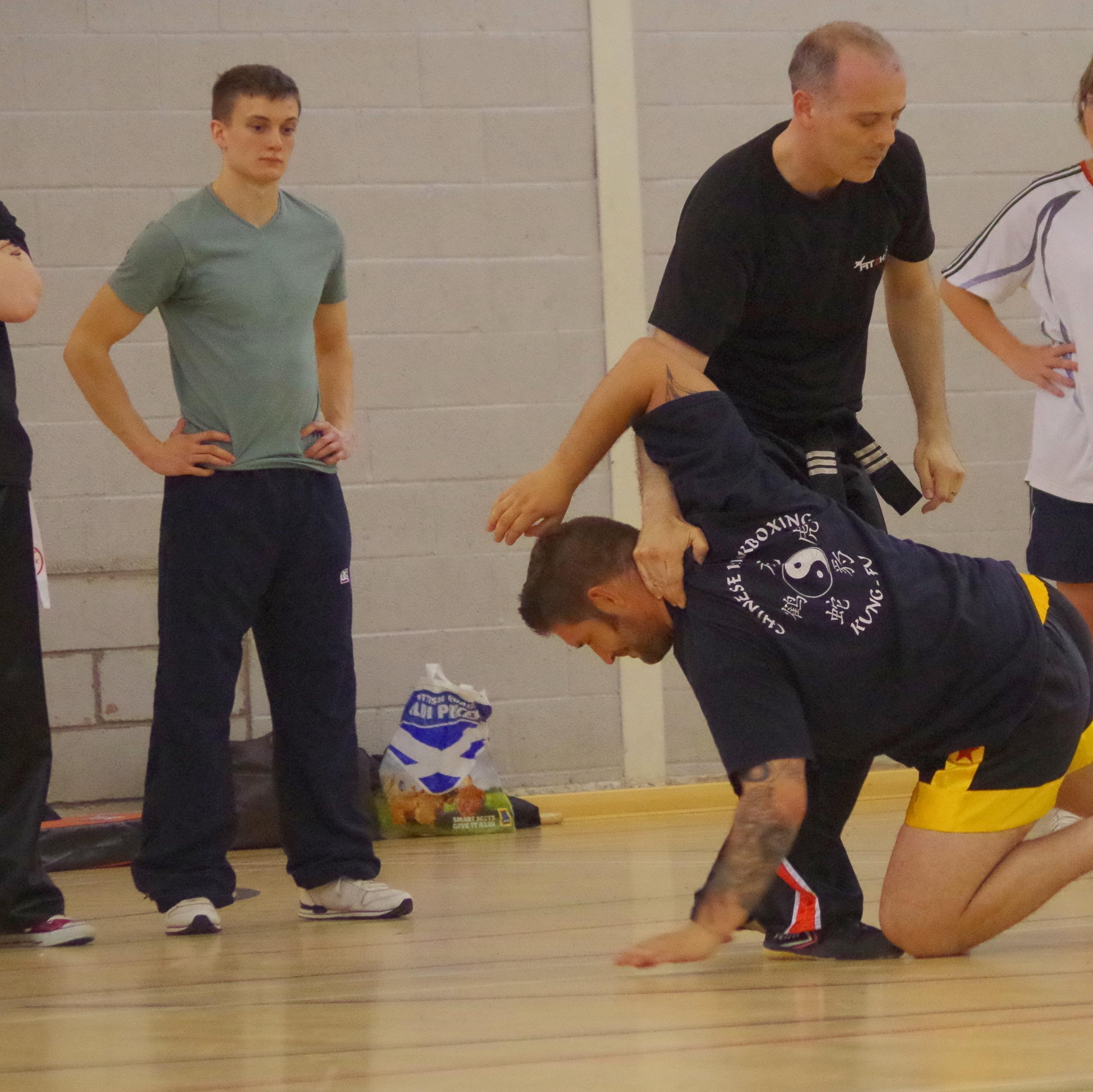 Martial Arts Instructor