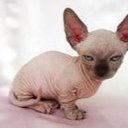 Sydknee - @ItsSydneyHinkle - Twitter