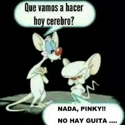 pvuelta's profile picture. 