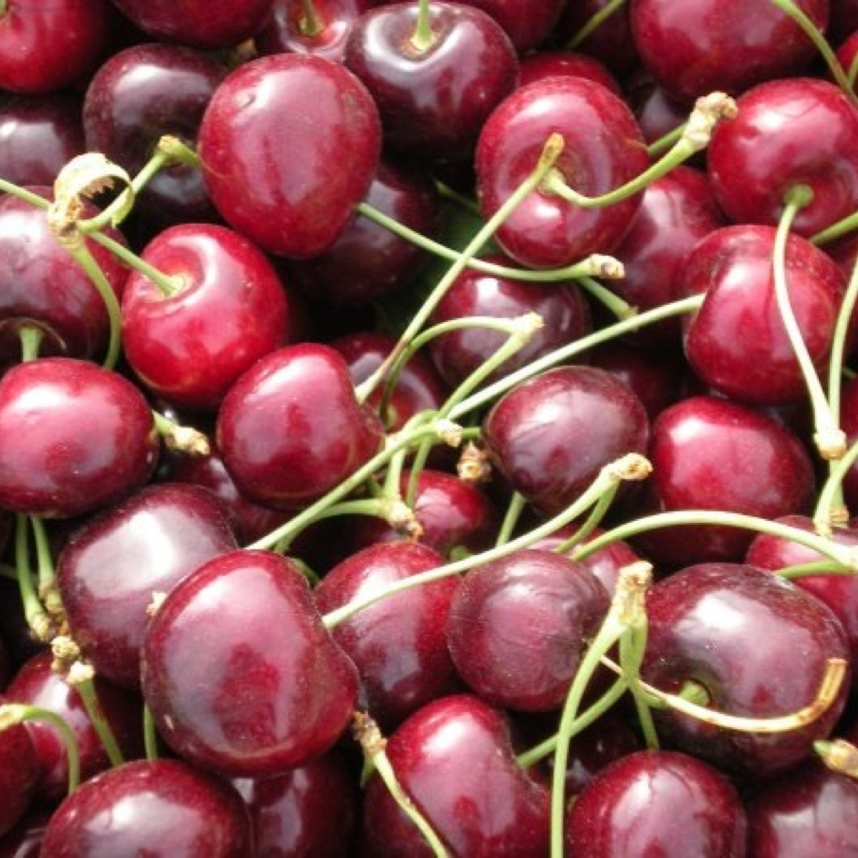 ndgux2's profile picture. 