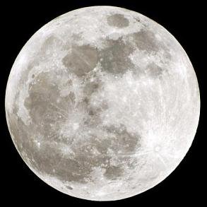 NightStormWolf's profile picture. A mostly quiet follower account. You won't find much here.
I do follow adult content creators, so no minors please.

35+ / M