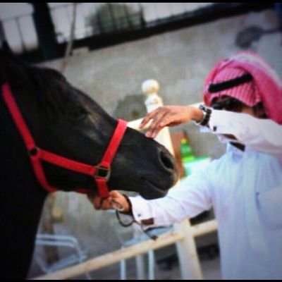 ‏‏‏‏‏: مآ آجمَلَ آن یحتَضنگ شخصُ تعشَقَہُ وَ آنتَ في قمّة شوقگ لہ !
