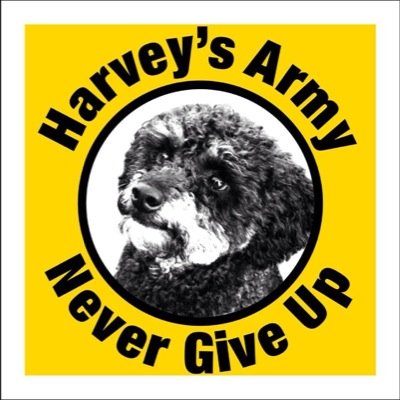 Find Harvey Profile