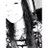 loesroben's profile image