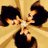 esv76's profile image