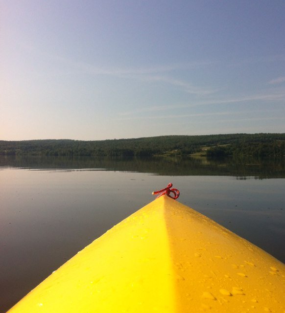 TracyG2016's profile picture. 