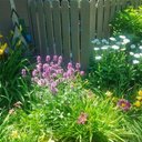 L. Wayne Moon - @lwm3401 - Twitter