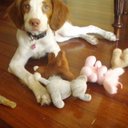 Bailey Francis - @mf19574 - Twitter