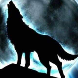 HeartWolf2's profile picture. طالب ثانوي 

                        هلاااااااااااالي
   
              محب للشعر.......واحاول تمرسه

    وبس هاذا كل شي اعرفه عني