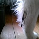 Mike Parrish - @_mp___ - Twitter