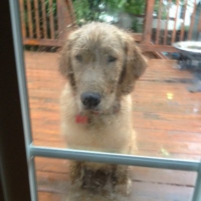 jaff37's profile picture. 