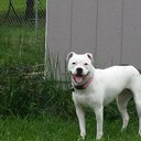 Lisa Hackler - @LisaK1231 - Twitter