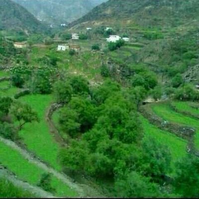 ‏{لتين الخضراء}
لتين قرية تقع جنوب محافظة محايل جنوب مركز قنا
             ~الحساب الرسمي لقرية لتين~
