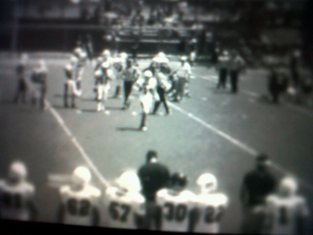 ToromaxWilson's profile picture. Dónde surgen necesidades, nacen derechos.