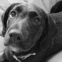 Scott Sayers - @creatility - Twitter