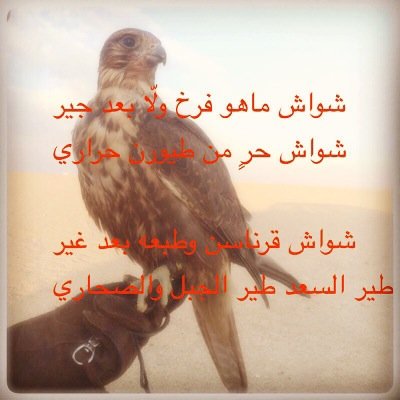 الحب مثل الطير والقلب راعيه فالصدر مقناصه وفالعن وكره وأنا غدالي طير مٓن عام أحاتيه وفي كل يوم أقول أبلقاه بكره. ♥ ♥ ♥ الكويت