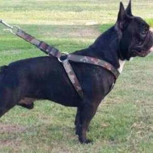 ivan10milan's profile picture. Jugador del C.D.Ingenio.