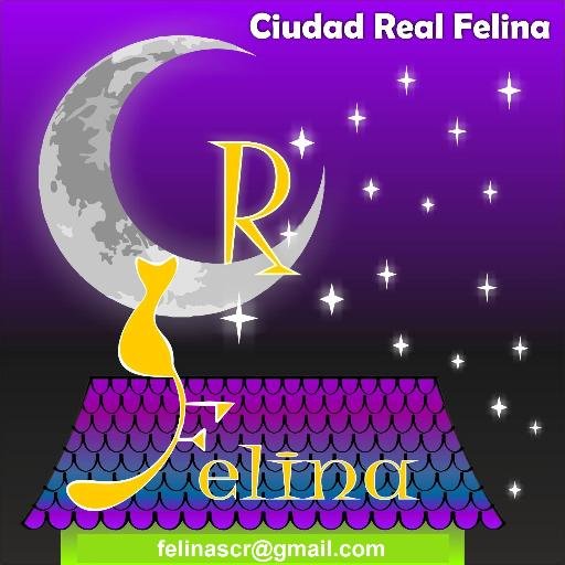 Grupo de particulares por la protección felina de Ciudad Real.  Buscamos ayuda y la ofrecemos. Adopta, Acoge, Difunde.

Contacto: felinascr@gmail.com