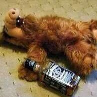 demonlost's profile picture. 