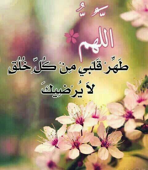 ‏‏‏ي إلہي  .. قلبي بين يديگ ،، ف ﻵ تعلقہ إﻻ بگك .. ♡♡