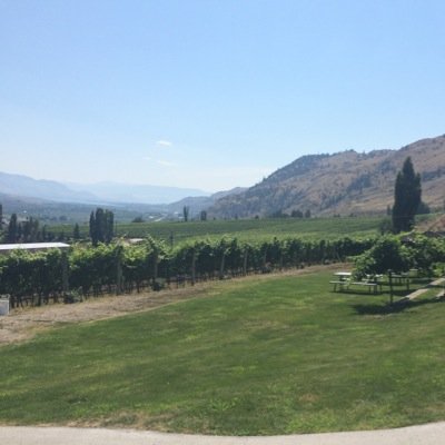 BCWineDiaries's profile picture. BC Wine Enthusiast. Starting a new journey. Sharing my passion for the BC Wine Industry.