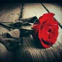 غلاوي االنمررري (@0567970325) Twitter