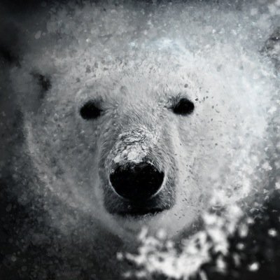 Octxgon Profile Picture