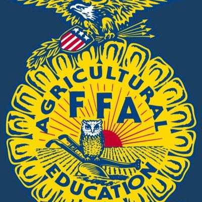 SalisburyFFA Profile Picture