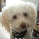 Yeny Flores - @yenipatty77 - Twitter