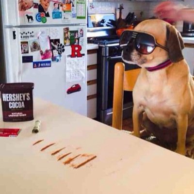 magee_sean2012's profile picture. #LiveLife