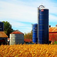 harold locust (@silofarm) 's Twitter Profile