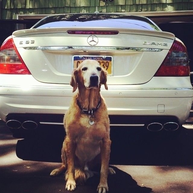 JAMESRODRIGO9's profile picture. 