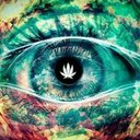 Jon Reed - @JonReed91 - Twitter