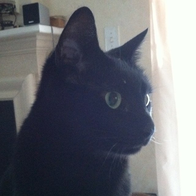 brianstegmann's profile picture. professional software noodler, so-so musician (hyperbox, introspecter), creating @managardengame, founder of @tendergreen3, family guy