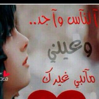 ‏‏‏‏‏‏‏‏‏‏‏‏‏..... المدينه المنورة....                                                                        ((عشقي هذيك الحربيه))