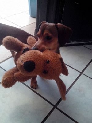 Amor es mantenerse enamorado a pesar de las peleas y discusiones, y luchar para que las cosas puedan mejorar. Eso es amor. Una sonrisa, no significa felicidad.