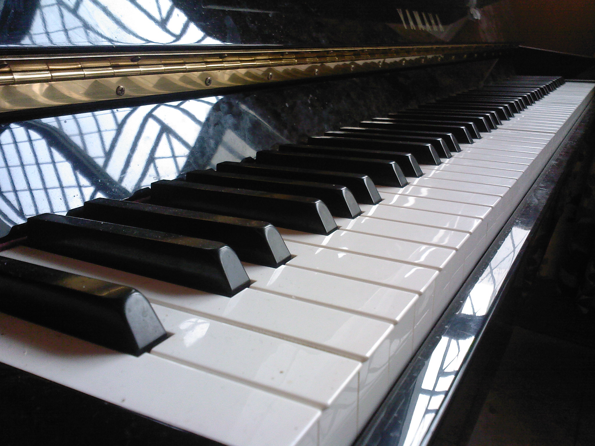 LouayBenMansour's profile picture. Musicien